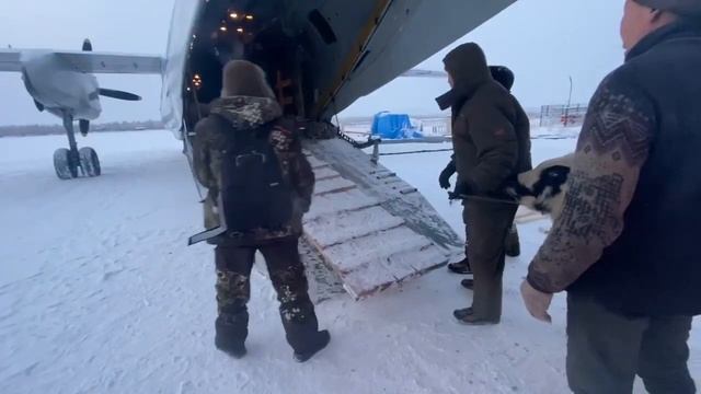 В Якутск из Эвено-Бытантайского района прилетели 20 коров якутской породы смотреть онлайн