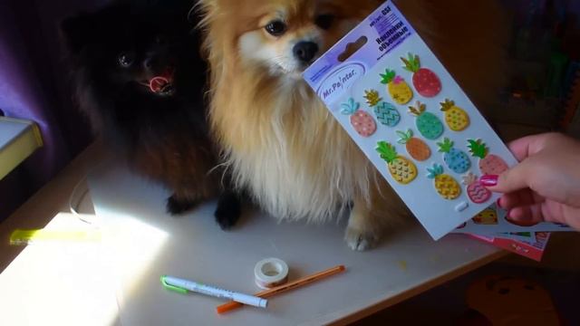 ДВЕ СОБАКИ УПРАВЛЯЮТ ОФОРМЛЕНИЕМ МОЕГО ЛИЧНОГО ДНЕВНИКА смотреть онлайн