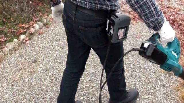 36V zoo смотреть онлайн