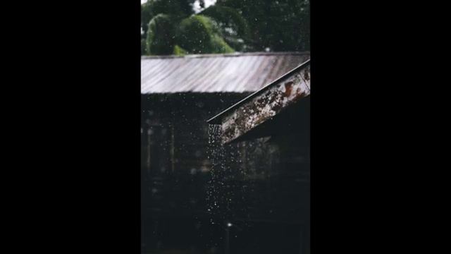 Relaxing Gentle Rain! Calm White Noise! смотреть онлайн