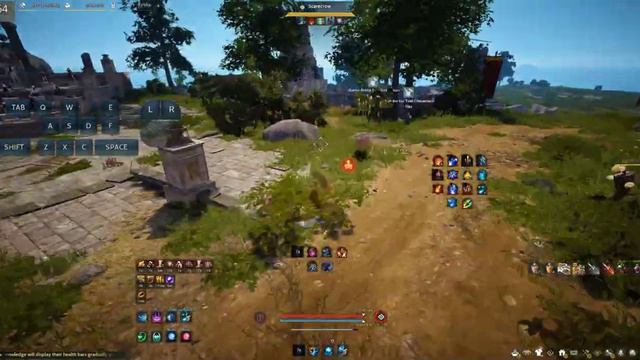 BDO Witch Succession - Sample PvE Grind Combo (with Display Input) смотреть онлайн