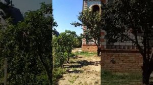 Обзор дачи в Николаеве за 15 000$