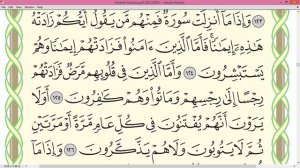 Шейх Айман Сувейд сура Ат Тауба стр 207