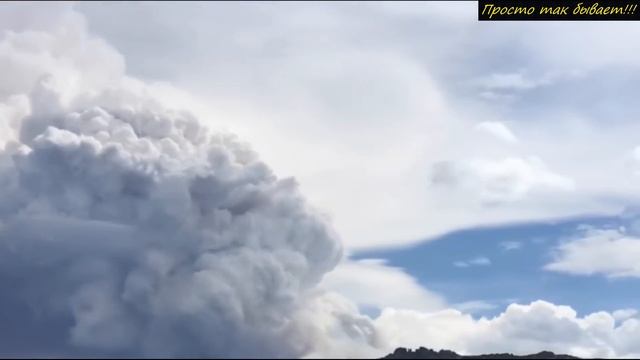 14 летний АЛЕКСЕЙ сел за руль трактора! То что случилось дальше, не укладывается в голове! смотреть онлайн