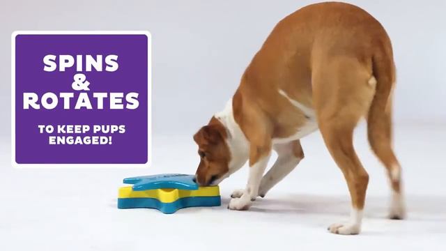 Outward Hound Star Spinner смотреть онлайн