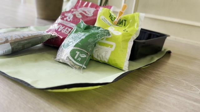 №59. Монстера. Как привести ее в порядок? Обрезка большой Монстеры делициоза (деликатесной) смотреть онлайн