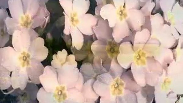 Море за окном