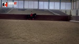 Музыка для конного спорта. Музыка для КЮР. Монтаж и компиляция музыки.