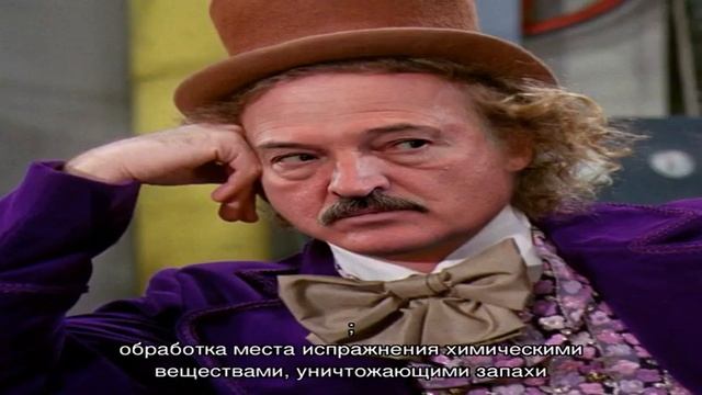 Как приучить хорька ходить в лоток смотреть онлайн