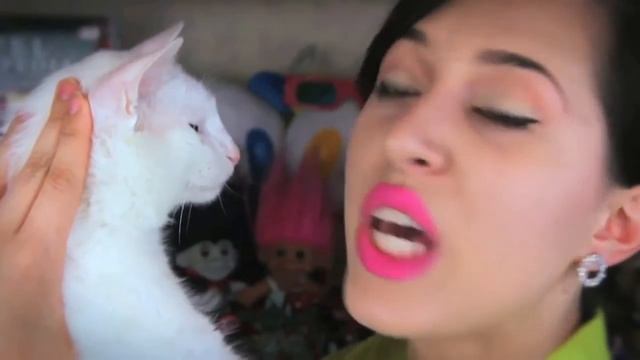 Кто вкуснее кошки или собаки? Kate Clapp