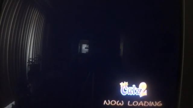 Petz Catz 2: Walkthrough part 2 смотреть онлайн