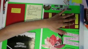 Проект "Красная книга", Окружающий мир, 2 класс.