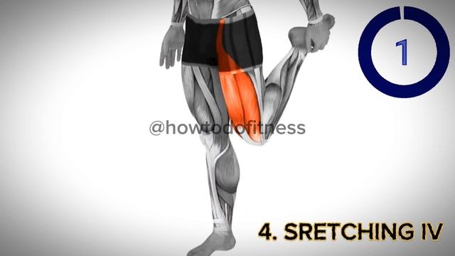 MORNING STRETCHES 8 EXERCISES TO START YOUR DAY