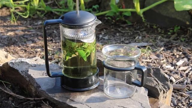 Производство травяного чая. Оборудование для бережной сушки и экстракции лекарственных трав смотреть онлайн