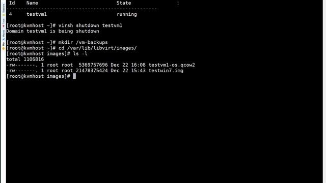 KVM | Backup a Guest Virtual Machine смотреть онлайн