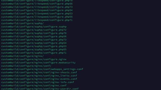 Update Directadmin met custombuild via SSH смотреть онлайн