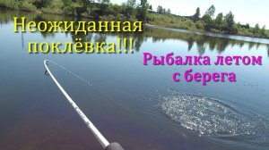 Неожиданная поклёвка!!! Рыбалка летом с берега. Ловля рыбы на вертушку Pontoon 21 Trait №00