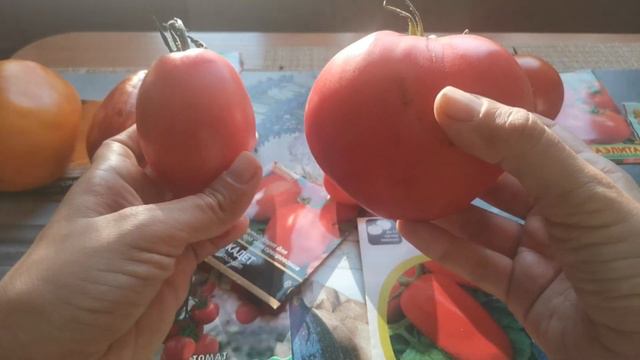 ТОМАТЫ 2021: отзыв о сортах🍅 смотреть онлайн