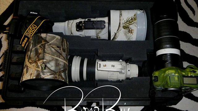 Chris Isaak Can´t Help Falling In Love photo by Hillary смотреть онлайн