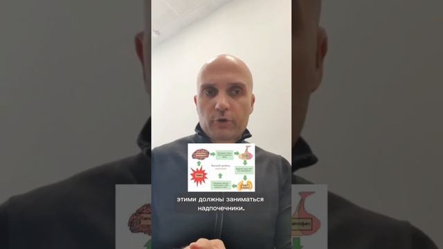 Синдром обкрадывания смотреть онлайн