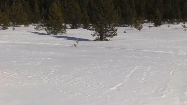 STV 2016 Polaris SKS смотреть онлайн