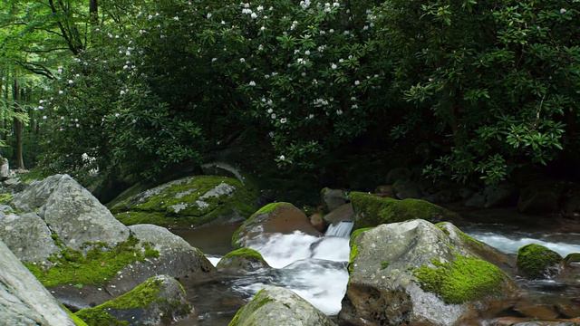 Big Creek - Great Smoky Mountains NP смотреть онлайн