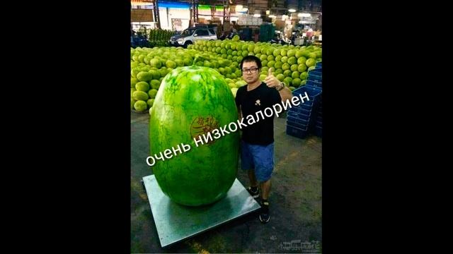 ВСЕ ОБ АРБУЗЕ смотреть онлайн