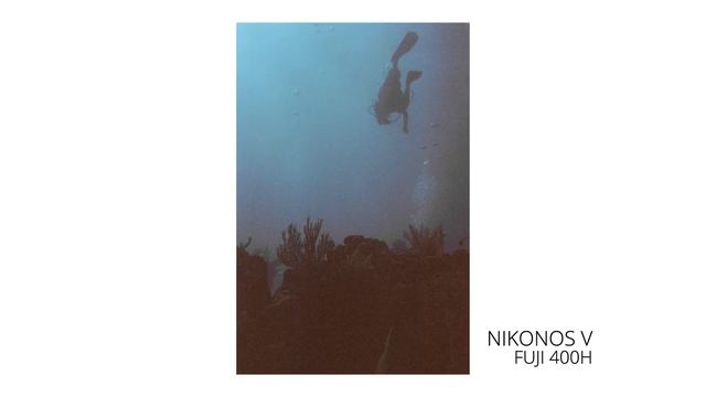 Nikonos-V Underwater Fun on Film смотреть онлайн