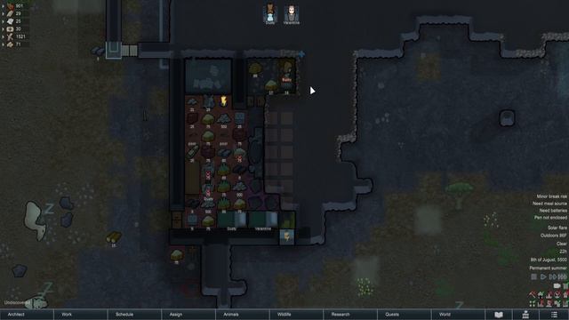 Rimworld 1.3 No DLC | Only Camera Mods | First Full Playthrough Part 5 смотреть онлайн