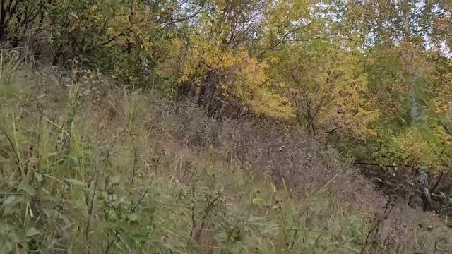 Знакомство с местностью...