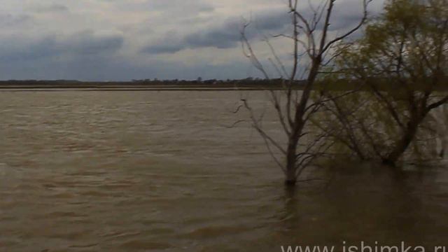 Дамба, осталось не много. смотреть онлайн