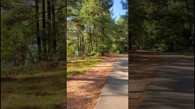 детская площадка и парк в Северной Каролине, Apex, Cary смотреть онлайн