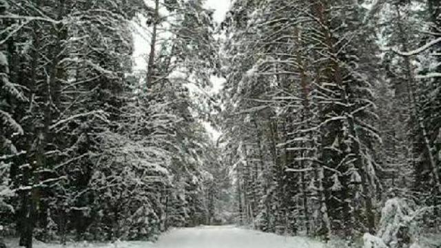 Зима лес дорога 2010 Relax смотреть онлайн