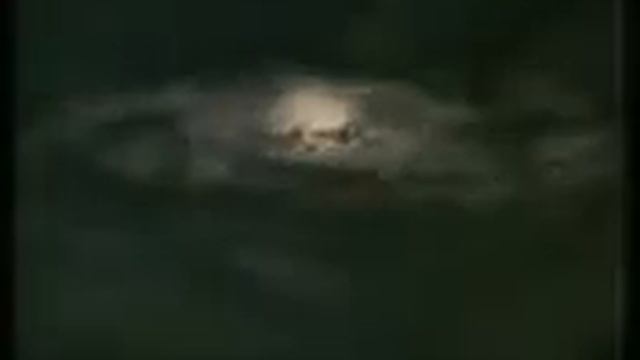 Великий учёный принимали ислам. смотреть онлайн