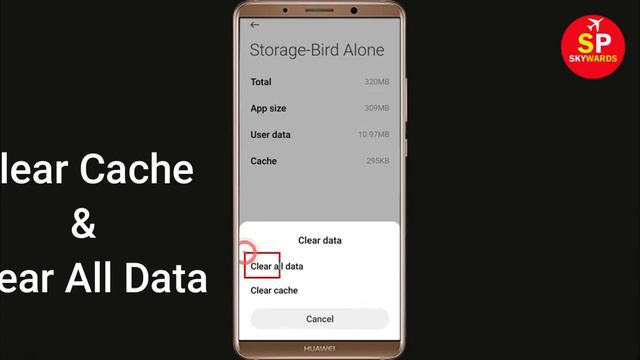 How to Solve Bird Alone App Black Screen Error Problem in Android & Ios | SP SKYWARDS смотреть онлайн
