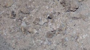 Обзор и опыт эксплуатации котла Buderus Logano S-111-2 20