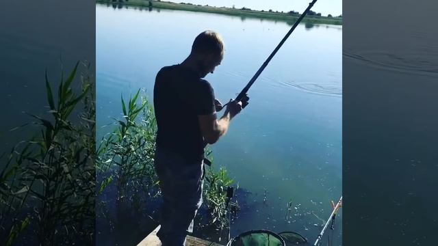 Рыбалка карп на пуфик смотреть онлайн