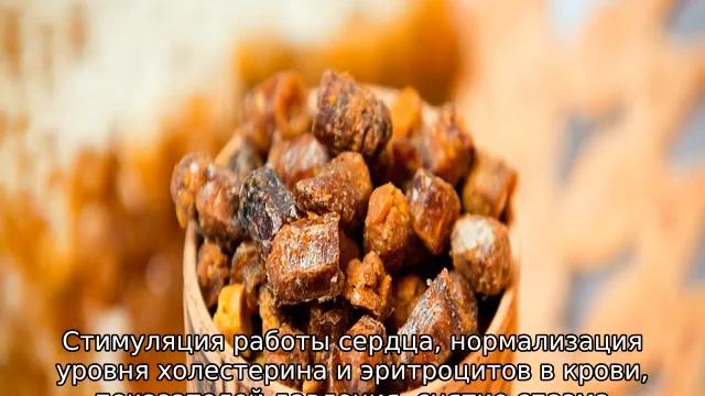 Перга пчелиная