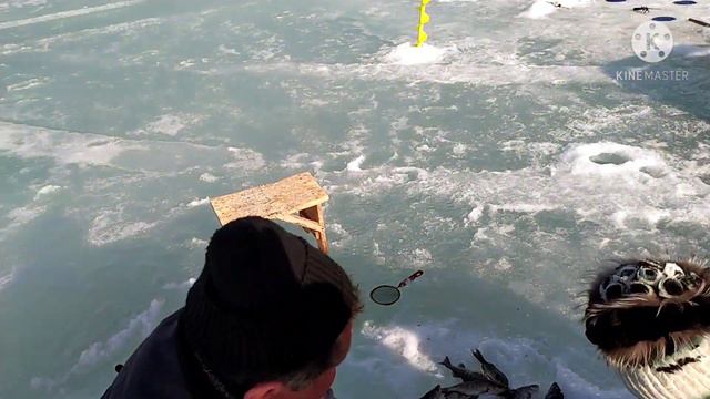 11 апреля 2021 гЛовля карпа со льда.Закрытие сезона по твердой воде.. смотреть онлайн