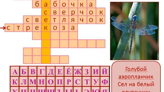 Окружающий мир. Тема: Насекомые. Кроссворд. смотреть онлайн