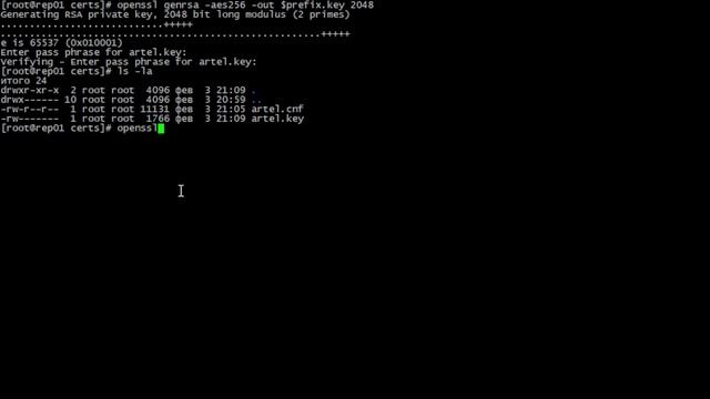 Создание самоподписанного SAN сертификата с использованием OpenSSL