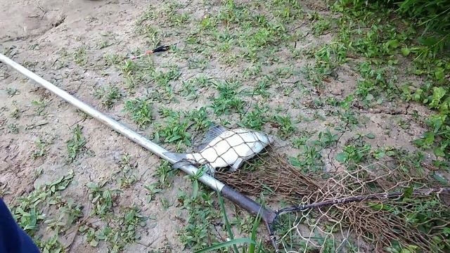 Рыбалка. Сабынды. смотреть онлайн