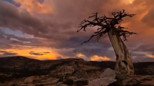 Мой кругозор (Александр Суханов)