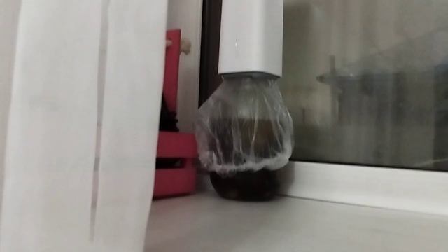 ALTEL 5G ROUTER будет ли работать с сим-картами других операторов? смотреть онлайн