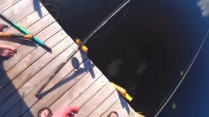 РЫБАЛКА В ХУТОРЕ ВИТАЛИКА ИГНАТЮКА! Готовим ребрышки барана!