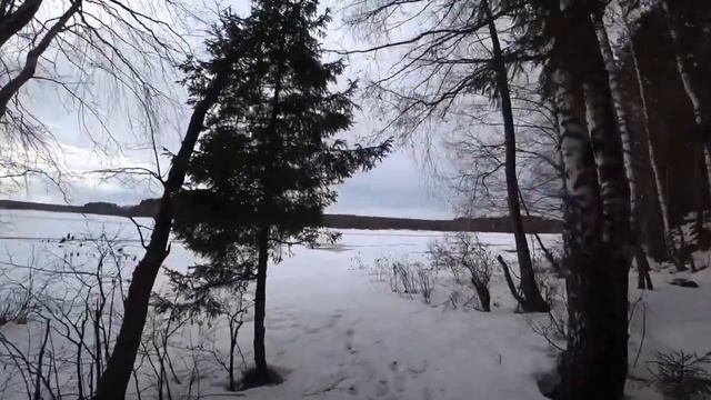 Нижегородская область. 30 марта 2019 смотреть онлайн