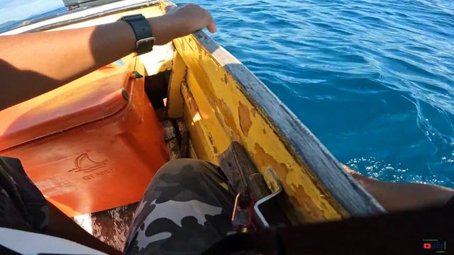 GIANT SQUID On Ultra Light Jigging!!! | Daiwa Legalis LT | Daiwa HJ Light 2023 смотреть онлайн