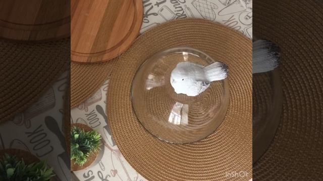 МК стеклянный клош смотреть онлайн