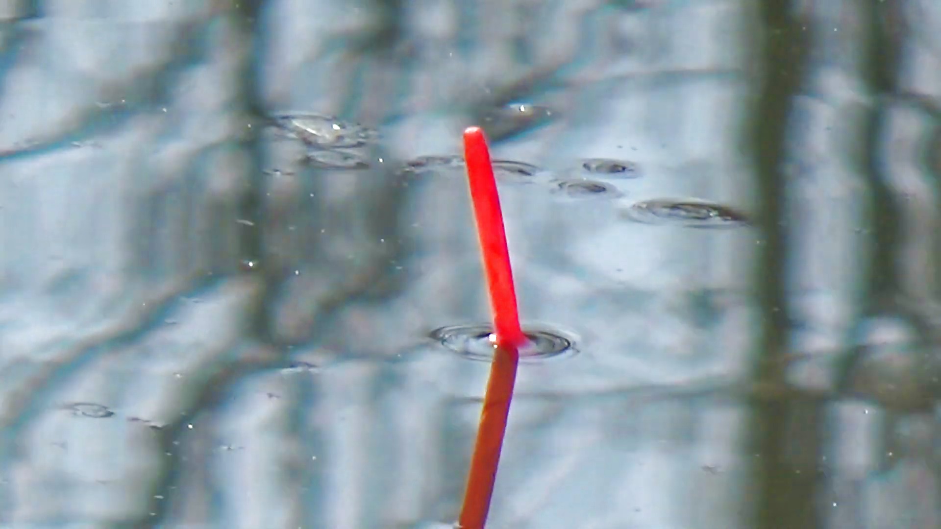 Ловля плотвы Как ловить плотву весной. смотреть онлайн