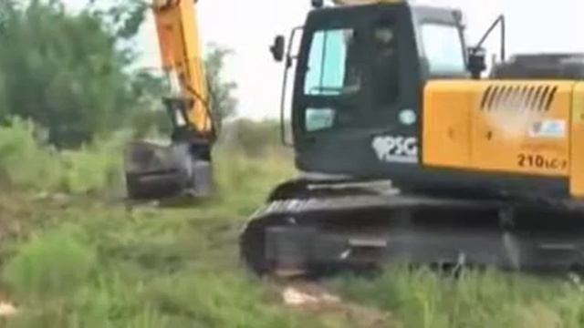 Спил деревьев смотреть онлайн